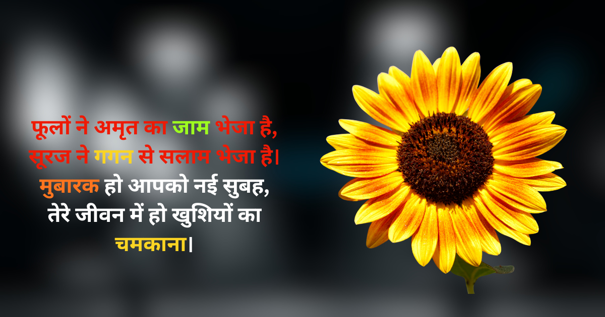 Kemat khubsurat good morning shayari