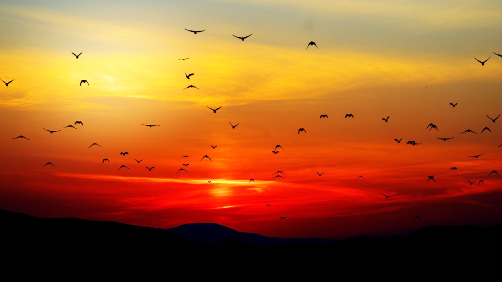 गुड मॉर्निंग विशेस